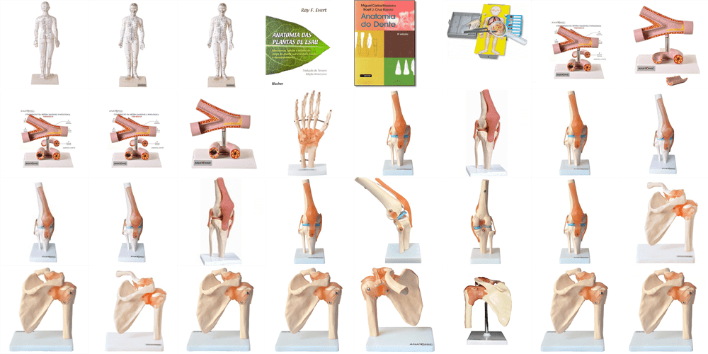 A Marca Anatomic é Boa? Instruções Sobre a Assistência Técnica da Marca Anatomic